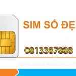 1545728951-356803902-0813387888.jpg